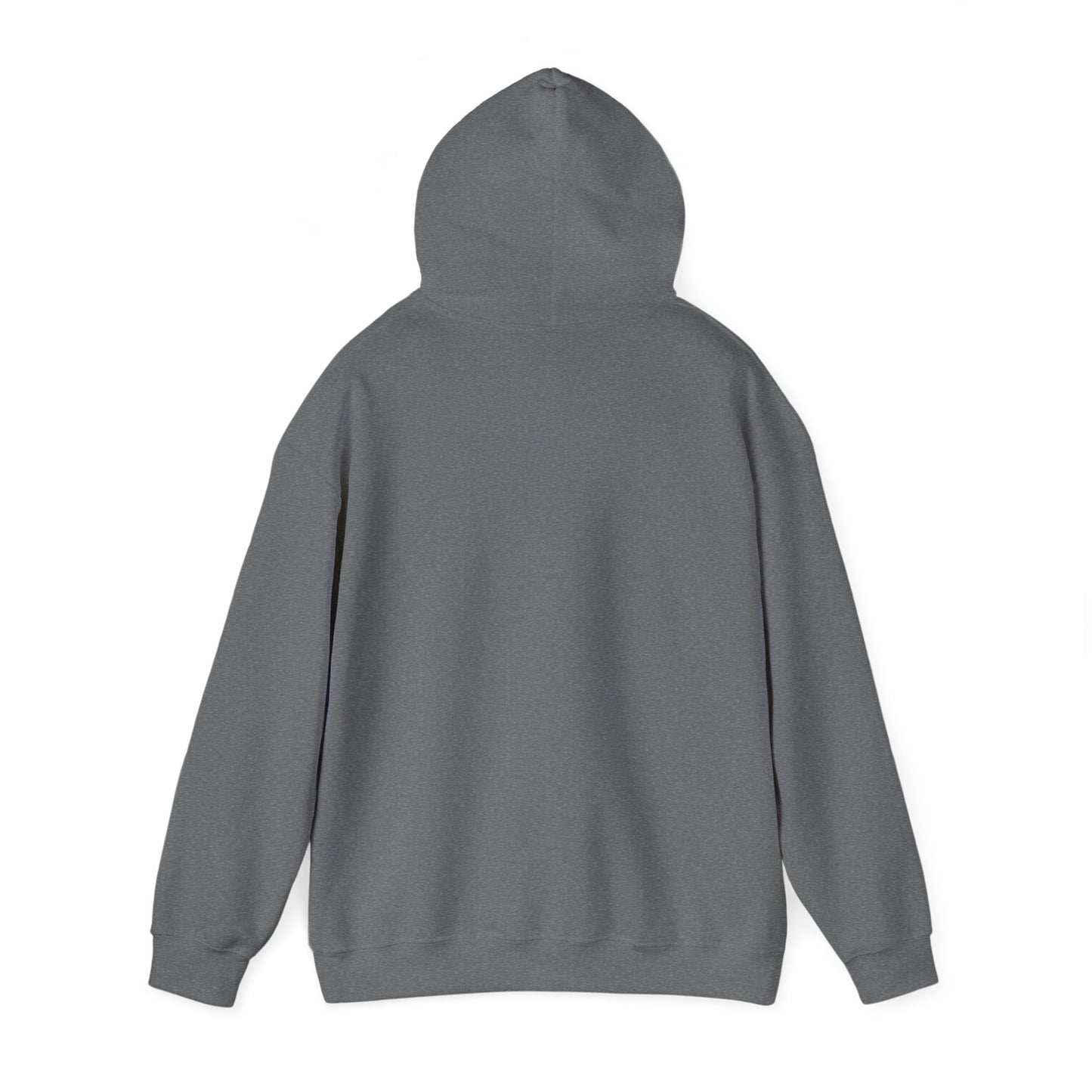 Jesus The Way Truth and Life sweatshirt featuring John 14:6 dark grey back hood up