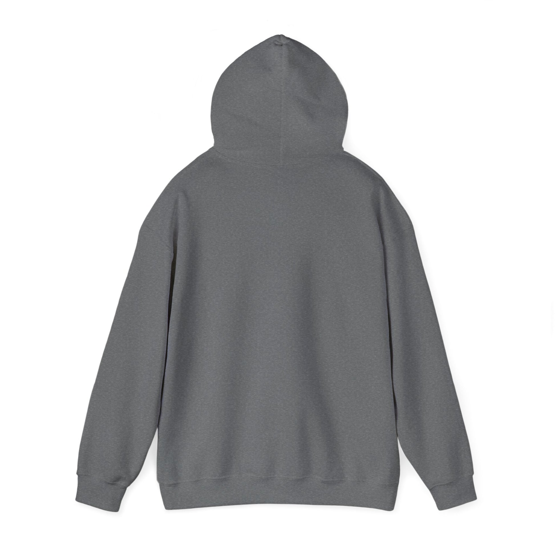 Jesus The Way Truth and Life sweatshirt featuring John 14:6 dark grey back hood up