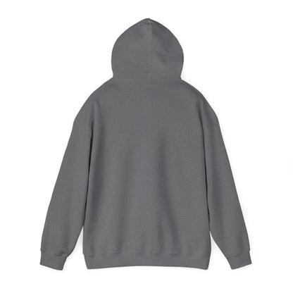 Jesus The Way Truth and Life sweatshirt featuring John 14:6 dark grey back hood up