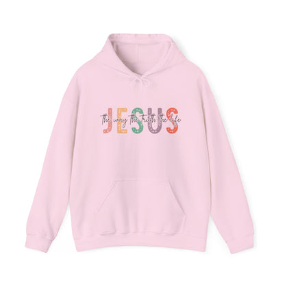 Jesus The Way Truth and Life sweatshirt featuring John 14:6 pink